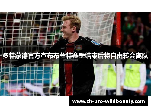 多特蒙德官方宣布布兰特赛季结束后将自由转会离队