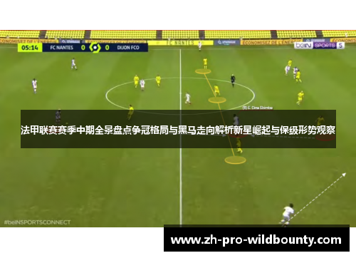 法甲联赛赛季中期全景盘点争冠格局与黑马走向解析新星崛起与保级形势观察