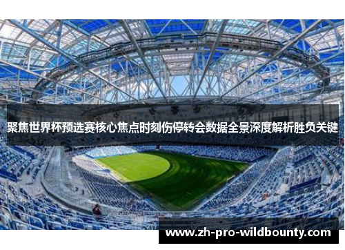 聚焦世界杯预选赛核心焦点时刻伤停转会数据全景深度解析胜负关键